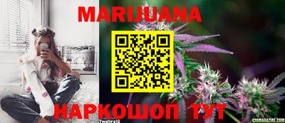 прущие грибы Партизанск