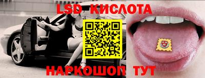 прущие грибы Партизанск