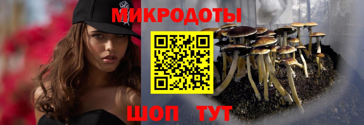 Асино  Псилоцибиновые грибы Psilocybine cubensis  Вход с VPN 